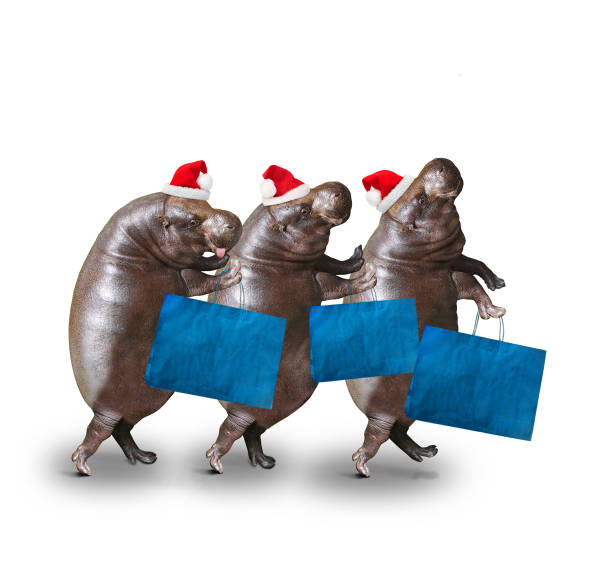 black friday amazon quando